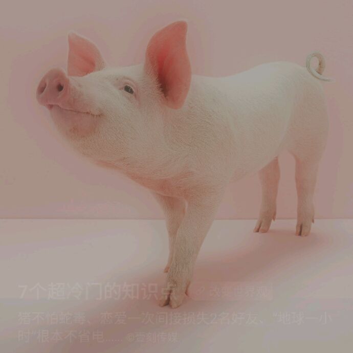 小7手游用户头像