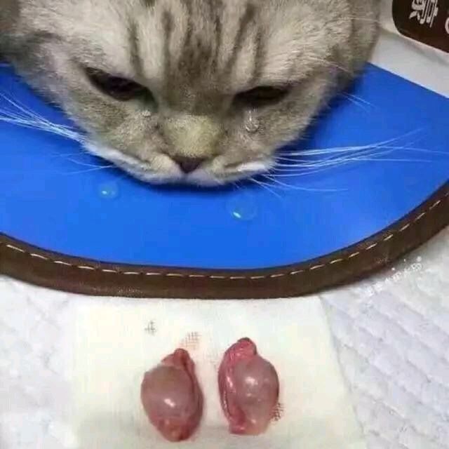 小7手游用户头像