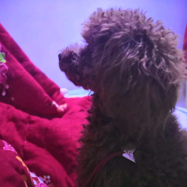 小7手游用户头像