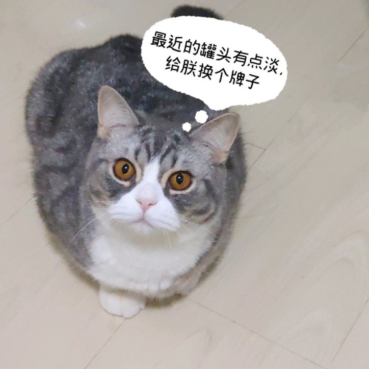 小7手游用户头像