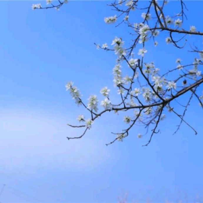 小7手游用户头像