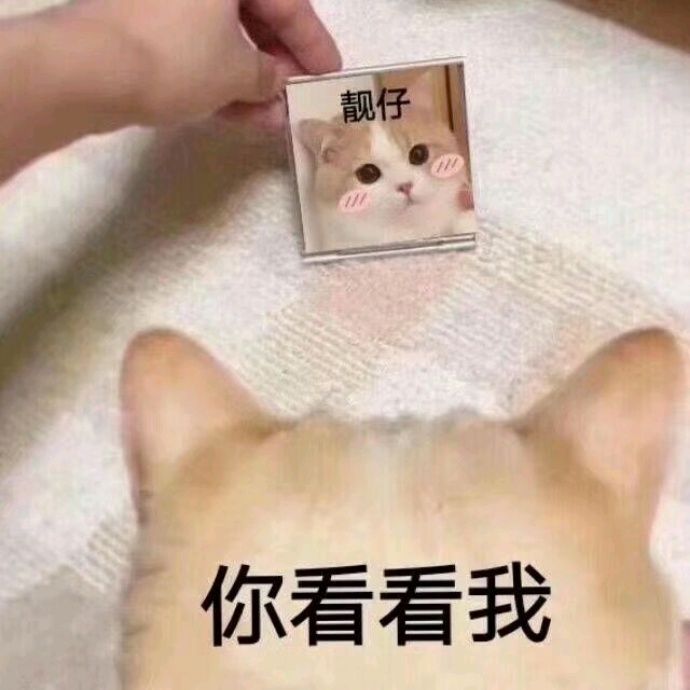 小7手游用户头像