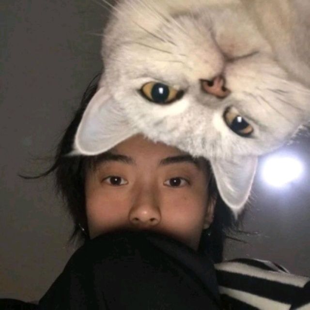 小7手游用户头像