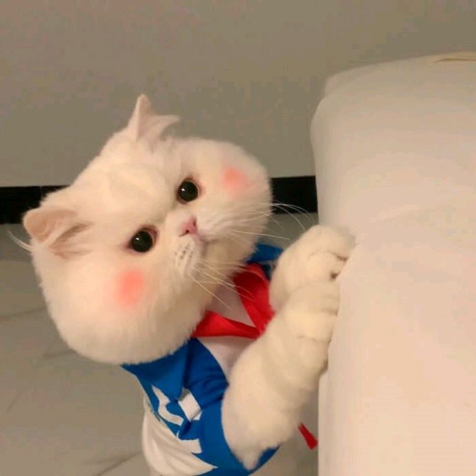 小7手游用户头像
